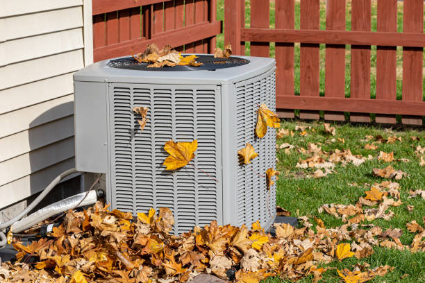 Best Affordable HVAC Services  in Warren, IL